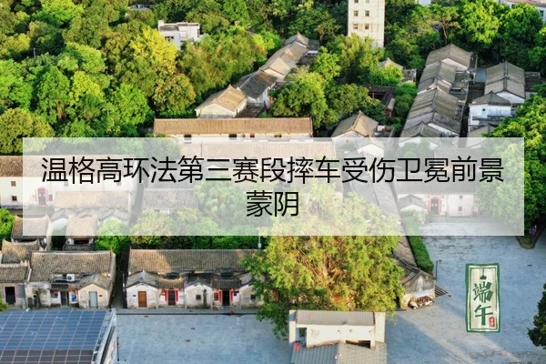 wen-ge-gao-huan-fa-di-san-sai-duan-shuai-che-shou-shang-wei-mian-qian-jing-meng-yin-3-274.jpg