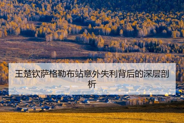 wang-chu-qin-sa-ge-lei-bu-zhan-yi-wai-shi-li-bei-hou-de-shen-ceng-pou-xi-3-339.jpg