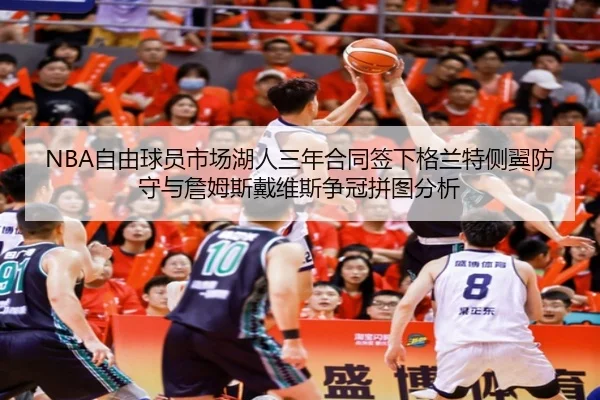 NBA自由球员市场湖人三年合同签下格兰特侧翼防守与詹姆斯戴维斯争冠拼图分析